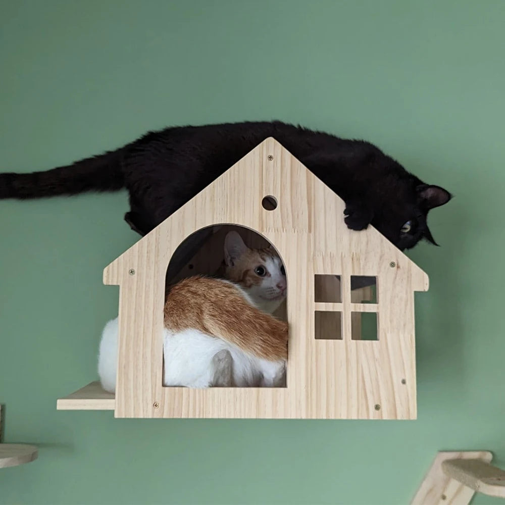 1 Piece Wall-Mounted Cat House and Hanging Bed or Hammock with Scratching Post for Cats Grinding Claws Climbing and Sleeping