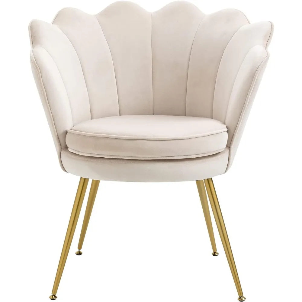 Living Room Chair Set of 2 with Golden Metal Legs, Shell-Shaped Armchair, Modern Accent Velvet Living Room Chair