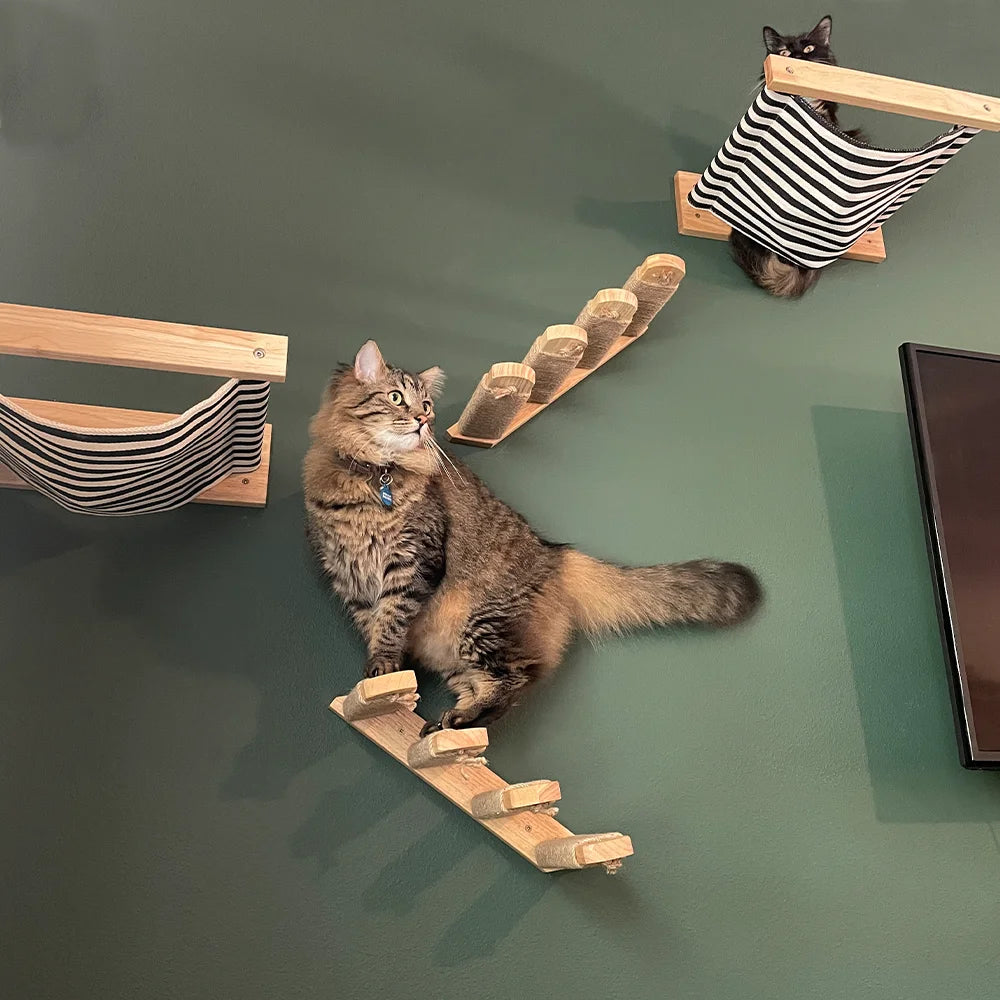 1 Piece Cat Wall Mounted Shelves Climbing Ladder Steps and Jumping Platform with Scratching Post for Grinding Claw and Playing