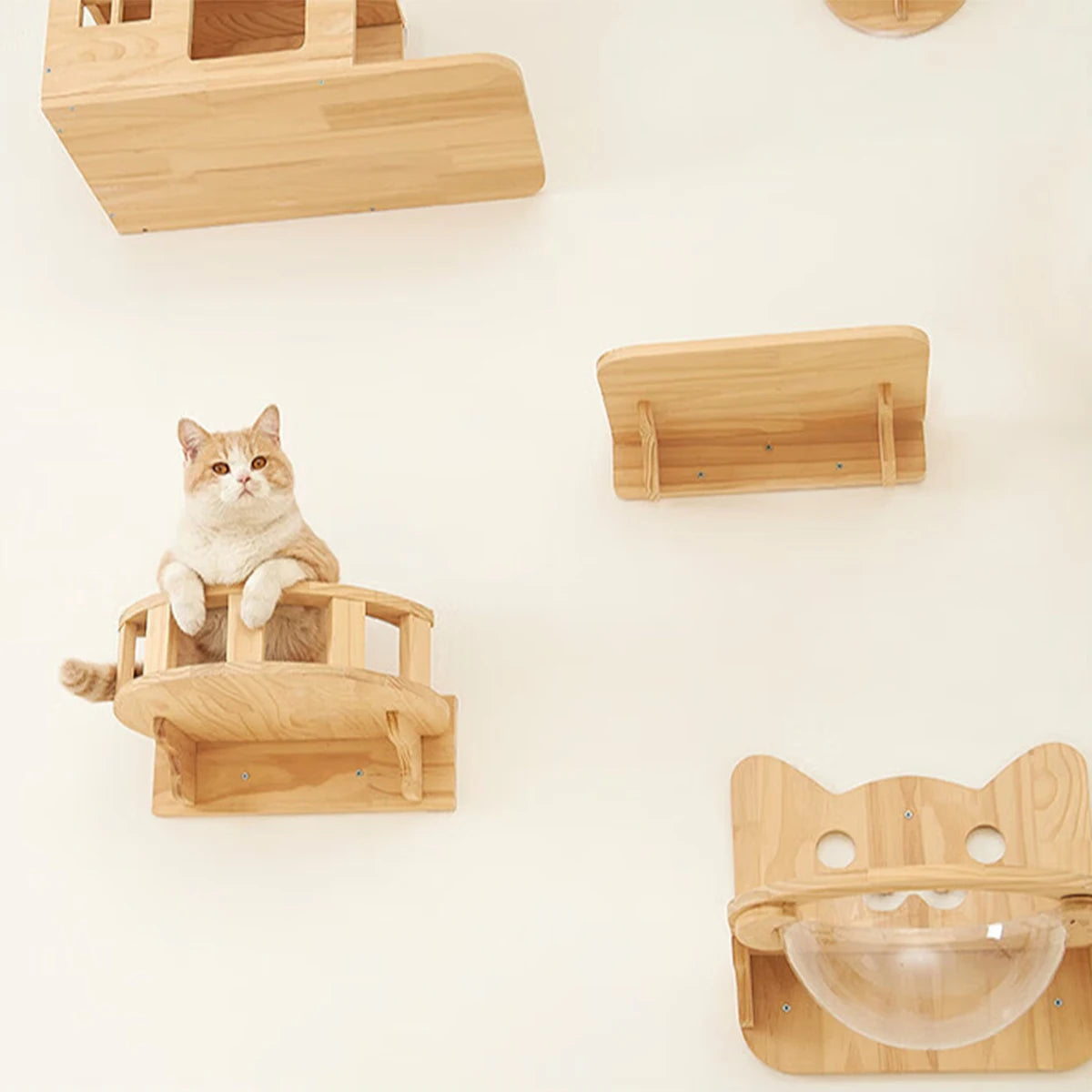 Wall Mounted Cat Shelves Wood Cat Lookout Climbing Shelf Kitten Wall Climbing Tree Furniture Four Step Stair Indoor Cat Hammock