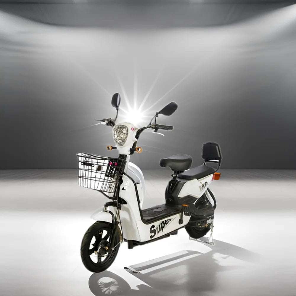 2023 Hot Sale 48V 12AH E-Bike Electric Motorcycle with 14-Inch Fat Tire Steel Frame Rear Hub Motor Electronic Smart Type