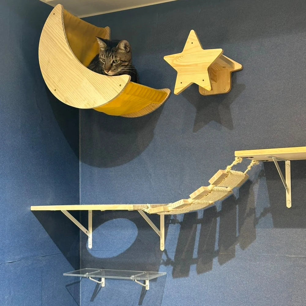 1 Piece Wall-Mounted Cat House and Hanging Bed or Hammock with Scratching Post for Cats Grinding Claws Climbing and Sleeping